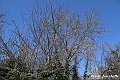 VBS_8871- Risvegli